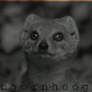 bjornhoog