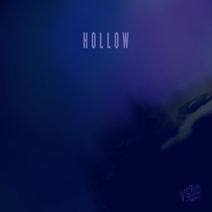 Image for 'Hollow'