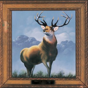 “Twelve Point Buck”的封面