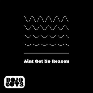 “Ain't Got No Reason”的封面