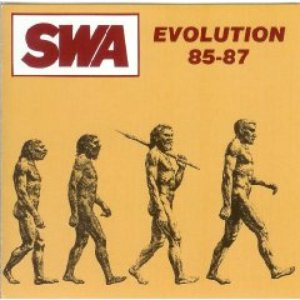 Image for 'Evolution 85-87'