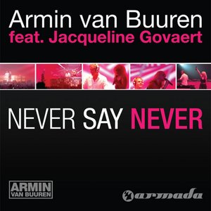 Image for 'Never Say Never'