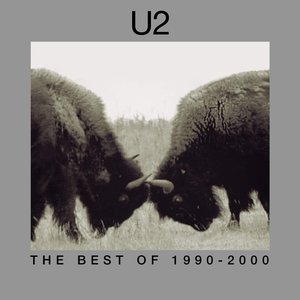 Image pour 'The Best Of 1990-2000 & B-Sides'