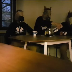 Bild för 'Horse Attack Sqwad'