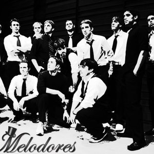 Image for 'Vanderbilt Melodores'