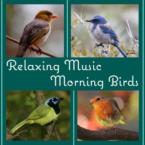 Image pour 'Relaxing Music: Morning Birds Songs, Peaceful Afternoon in the Forest, Ambient Nature Sounds to Reduce Stress and Well Being'