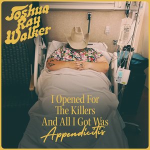 Zdjęcia dla 'I Opened For The Killers And All I Got Was Appendicitis (Live)'