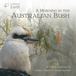 'A Morning in the Australian Bush'の画像