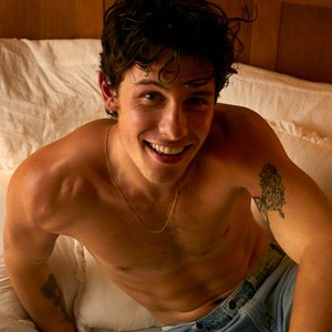 'Shawn Mendes' için resim