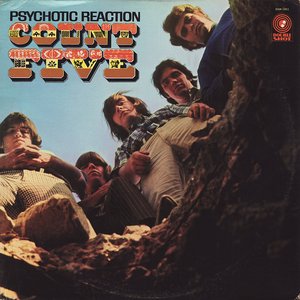 Image pour 'Psychotic Reaction'