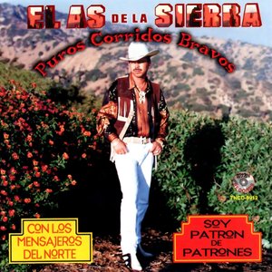 Image for 'Puros Corridos Bravos (Soy Patron De Patrones)'