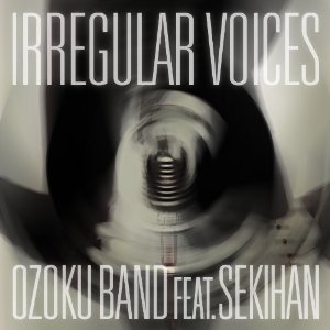 Image for '「IRREGULAR VOICES」feat 赤飯'
