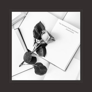 Image for 'The Tortured Poets Department (The Anthology): Piano Instrumentals'
