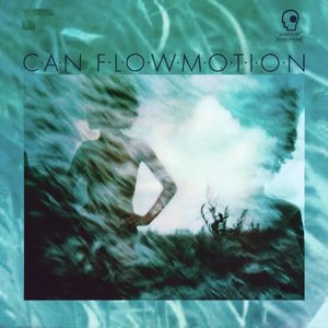 Image for 'Flow Motion'