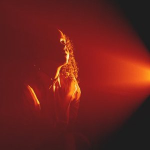 'O Elefante da Sala' için resim