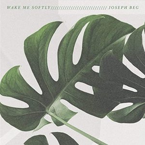 Image for 'Wake Me Softly'