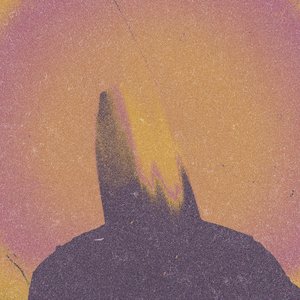 Zdjęcia dla 'What Came From Silence'