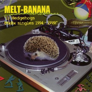 Bild für '13 Hedgehogs <MxBx Singles 1994-1999>'