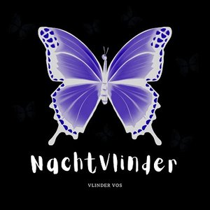 Image for 'NACHTVLINDER'
