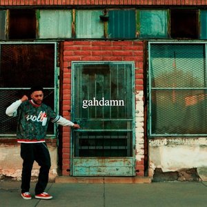 “gahdamn”的封面