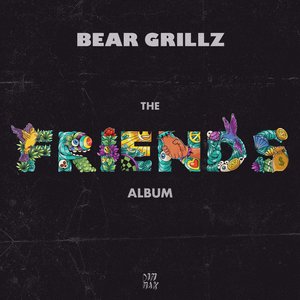 'Friends: The Album' için resim