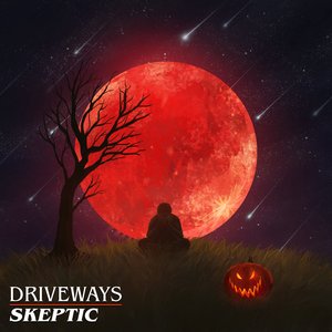 “Skeptic”的封面