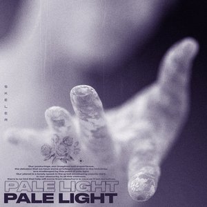 'Pale Light'の画像