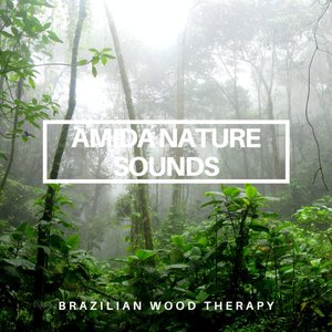 Bild für 'Brazilian Wood Therapy'