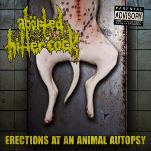 Image for 'Erections at an Animal Autopsy'