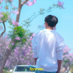 Image for 'forever.'