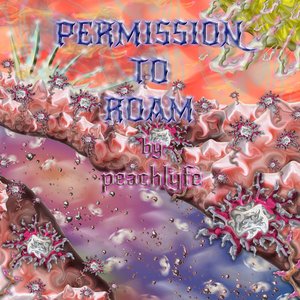 “Permission to Roam”的封面