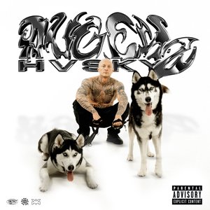“Augen Husky 2”的封面