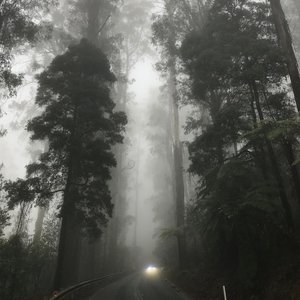 Image for 'Premonitions'