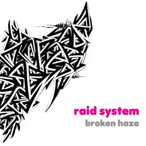 Image for 'raid system'