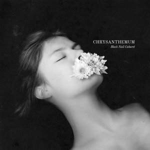 Image for 'Chrysanthemum (Deluxe Edition)'