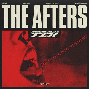 Изображение для 'The Afters'