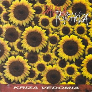 Image for 'Kríza vedomia'