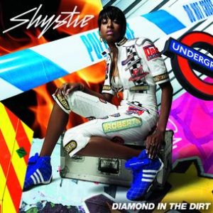 'Diamond In The Dirt'の画像