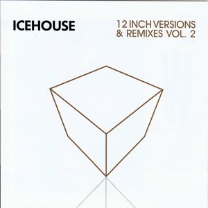 Image for '12 Inch Versions & Remixes Vol. 2'