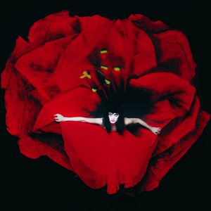 Image for 'Adore (Super Deluxe)'