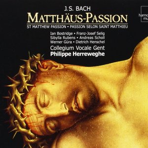 Image for 'Matthäus-Passion'