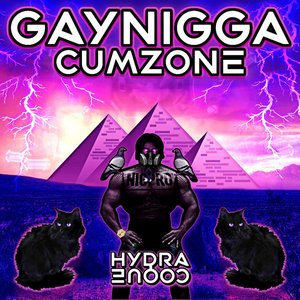 Image for 'Gaynigga Cumzone'