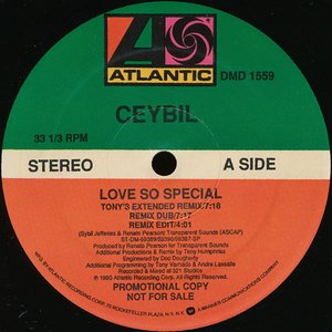 Image for 'Love So Special'