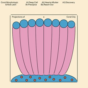 “Projections of a Coral City”的封面