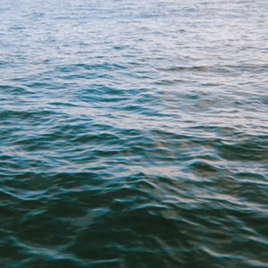 Bild für 'Waves'