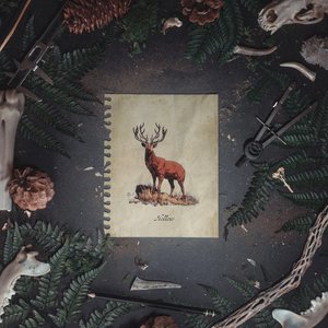 Изображение для 'Hollow'