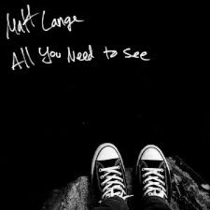 Image pour 'All You Need to See'