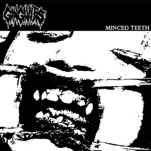 Image for 'MINCED TEETH'