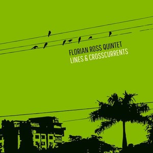 Image for 'Lines & Crosscurrents'