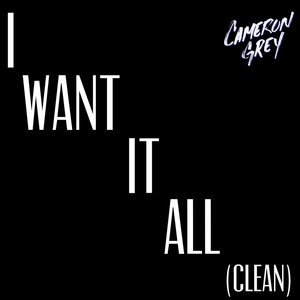 Imagem de 'I Want It All (Clean)'